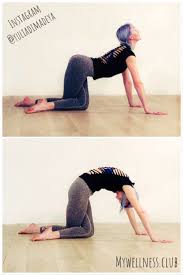 Think Beyond Cat And Cow Yoga Asanas Iyengar Yoga Yoga Fitness