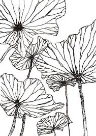 Printable Black And White Botanical Prints Digital Floral Print Flower Wall Art Botanical Prints Plant Lovers Gift Black White Print Gift For Wife C Flower Wall Art Printable Art Printable Artwork