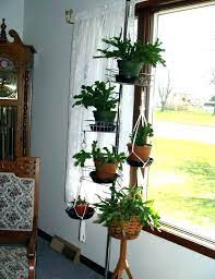 Hanging Plant Stand Indoor Target Australia Holders Terrarium Design Plants Plan Australia Design Han Plant Stand Indoor Hanging Plants Indoor Plant Stand