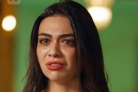 Get To Know My Destined Mate An Alpha In Coma Character & Story