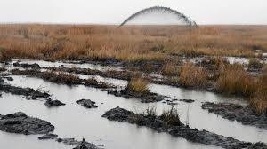 The blackwater national wildlife refuge was established in 1933 as a waterfowl sanctuary for birds migrating along the critical migration hi. Blackwater National Wildlife Refuge Marsh Restoration Dredge America