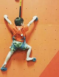 Whether you want to build a simple indoor structure or an impressive backyard maze, take a look at these inspiring rock climbing walls for kids to get you started. Outdoor Escape Custom Designed Climbing Walls