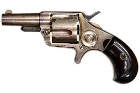 Image result for New Silver 1981 Colt