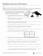 Mendelian Genetics Worksheet Answers New Mendelian Genetics Worksheet Mendelian Genetics In 2020 Persuasive Writing Prompts Word Problem Worksheets Worksheet Template