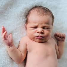 Profile for Lisa Neil Photography