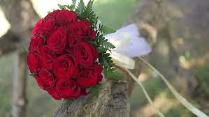 We did not find results for: Wedding Bouquet Of Fresh Flowers Wedding Stock Footage Video 100 Royalty Free 8274454 Shutterstock