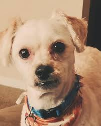 Peter J. Felice (@peterjfelice) • Threads, Say more