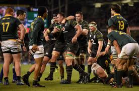 Where to watch south africa vs ireland 3 rd odi live streaming, ire vs sa 2021. The Wally Ratings Ireland 38 South Africa 3 Three Red Kings