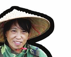 ISAAA Briefs brief 48 Adoption and Uptake Pathways of GM/Biotech Crops by  Small-Scale, Resource-Poor Farmers in China, India, an