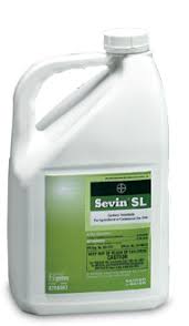 Sevin dust and similar pesticides containing carbaryl overstimulate an insect's nervous system, eventually making it impossible for the insect to breathe. Sevin Sl Carbaryl Insecticide Bayer Environmental Science Industrial Vegetation Management