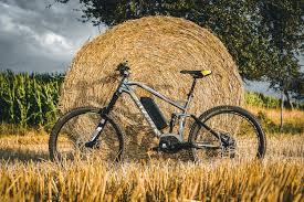 Oli Move Plus E Bike Antrieb Aus Italien Im Test Pedelecs Und E Bikes