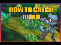Sorry if it's a dumb i tried and it definitely doesn't work. How To Catch Riolu In Pokemon Sun And Moon Youtube