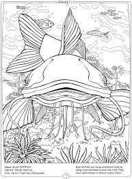Catfish coloring pages provided for educational purposes and personal use only. Welcome To Dover Publications River Monsters Of The World Blue Catfish Dover Coloring Pages Coloring Pages Free Coloring Pages