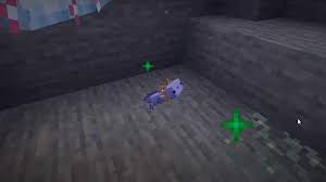 Minecraft axolotls come in five colours. How Do You Breed A Blue Axolotl In Minecraft Command Steps