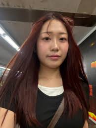 Where to find a place to live in Christchurch until the end of January?