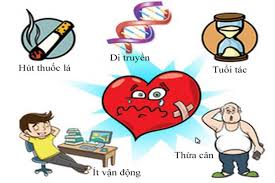 7 cách giúp trái tim khỏe mạnh