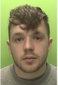 A man who sexually assaulted a young boy and exchanged "sickening" explicit  messages with children from across the world has been jailed. Reece Green  sexually assaulted the boy