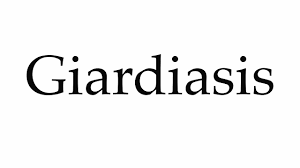 Jul 09, 2021 · giardia intestinalis pronunciation with meanings, synonyms, antonyms, translations, sentences and more which is the right way to pronounce the word ambiguous? How To Pronounce Giardiasis Youtube