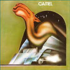 Camel camel camel extension alternatives and review. Camel Camel Amazon De Musik