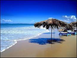 Image result for goa images