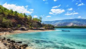 Synonyms for timor in free thesaurus. 2021 East Timor Travel Guide Matador