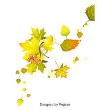 Cartoon Simple Hand Painted Autumn Leaf Design Leaves Autumn Clipart Leaves Clipart Png Transparent Clipart Image And Psd File For Free Download Leaf Clipart Free Graphic Design Leaf Design