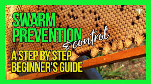 At pest tec we try and save all bee's, and have close association with the local beekeepers. Bee Swarms Everything You Need To Know 2021 Definitive Guide