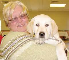 Author: Archer Allen