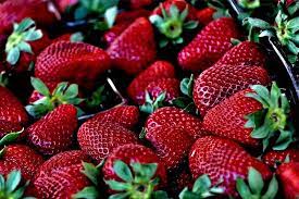 Jumatatea de lamaie se scurge de suc. Soiuri De CÄƒpÈ™uni Categorii Care Rodesc Tot Anul