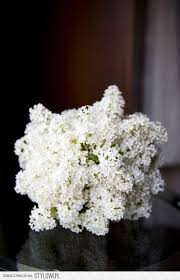 Wedding Flowers White Lilac Lilac Bouquet Flower Bouquet Wedding Bridal Flowers
