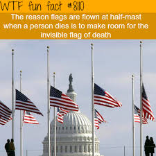 Why Flags Are Flown Half Mast Wtf Fun Facts Wtf Fun Facts Fun Facts Weird Facts