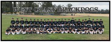 WEST COAST BLACKDOGS – A HIGHLY COMPETITIVE YOUTH, HIGH SCHOOL AND COLLEGE  BASEBALL DEVELOPMENT PROGRAM