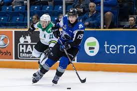 Joshua married sarah ann roy. Joshua Roy 2021 Nhl Draft Prospect Profile