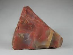 What Is Petrified Wood How Does It Form Petrified Wood Rocks And Crystals Minerals