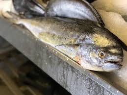 Palestinian youths prepare smoked mackerels to be sold at a fish market in the town of rafah, in southern gaza strip. Hooked On Africa Fresh Fish Market Hout Bay Hooked On Africa Fishing Charters Cape Town