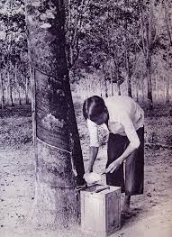 L'Indochine Coloniale - Mme de la Souchère, vice Présidente des planteurs  de Caoutchouc