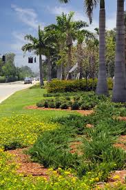 » residential homes » condos » us » florida » naples » east naples » condo for sale in naples, florida1. Landscape Operations Collier County Fl