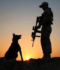 On this Veterans Day, we pause to honor the bravery, sacrifice, and  commitment of our men, women, and canine veterans who have stood on the  front lines to protect our freedoms and