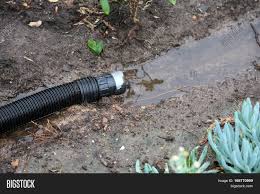 Swale drains are also used as a transport system that carries water into a draining point such as a dry well. Black Plastic Hose Image Photo Free Trial Bigstock