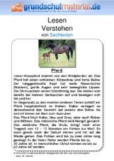 Adobe acrobat dokument 5.5 mb. Sachtexte Tiere Sachtexte Lesen Deutsch Klasse 3 Grundschulmaterial De