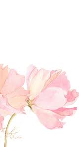 Check spelling or type a new query. Light Pink Floral Iphone Wallpapers Top Free Light Pink Floral Iphone Backgrounds Wal Free Watercolor Flowers Flower Background Wallpaper Floral Watercolor