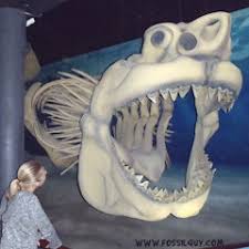 Adults are at least 25 feet long and they can be up to 45 feet in length. Fossilguy Com Megalodon Shark Facts And Information Size Teeth Evolution Where To Find Megalodon And More