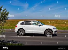 Image result for Ibis White 2011 Q5