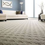 Smartstrand Stain Resistant Carpet Stain Proof Carpet Carpets Mohawk Flooring Smartstrand Carpet Pet Friendly Carpets Textured Carpet