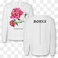 Check spelling or type a new query. Skullberry Crewneck Dang Matt Smith Merch Hd Png Download 1000x1000 4233191 Pngfind