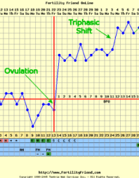 34 Explanatory Bbt Chart Free To Download And Use