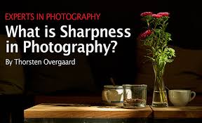 I was worried about throwing my own bouquet because of how beautiful it. Https Www Overgaard Dk 2021 03 12t14 46 17 00 00 Daily 1 0000 Https Www Overgaard Dk Thorstenovergaardcom Grafik Spacer Gif Http Www Overgaard Dk Thorstenovergaardcom Grafik Spacer Gif Https Www Overgaard Dk Thorstenovergaardcom Grafik
