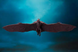 King of the monsters (2019) online. Mothra 2019 Rodan 2019 Set Godzilla King Of The Monsters Bandai S H Monsterarts By Tamashii Nations Barnes Noble