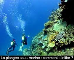 C'est plonger en toute sécurité via un sport de loisirs au sein d'un il vous permettra de plonger en autonomie jusqu'à 20 mètres de profondeur accompagné par au moins. La Plongee Sous Marine Comment S Initier