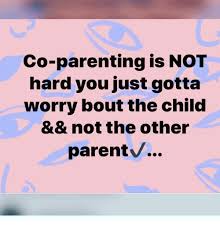 Have you ever wondered what happened to that kid behind the funny meme going around on so. Co Parenting Is Not Hard You Just Gotta Worry Bout The Child Not The Other Parentv Meme On Me Me